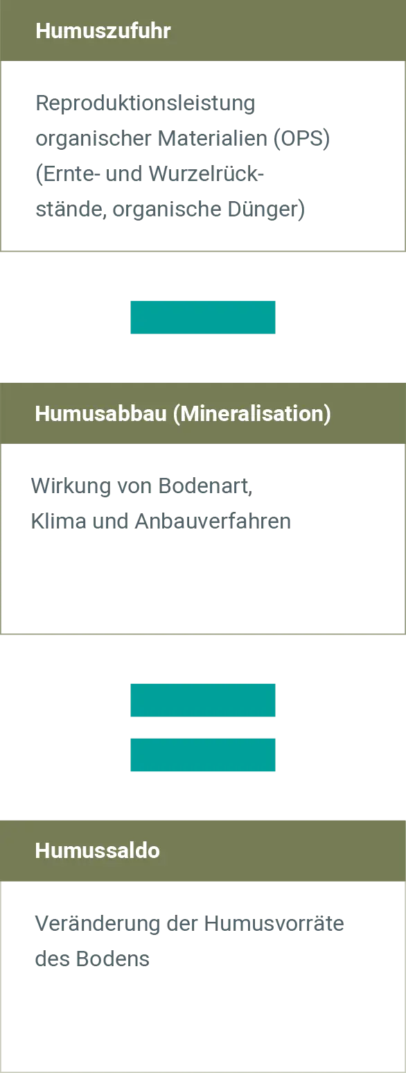 Humuszufuhr und Humusabbau