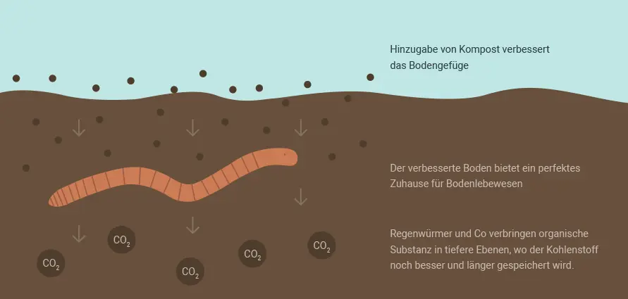 Bioturbation
