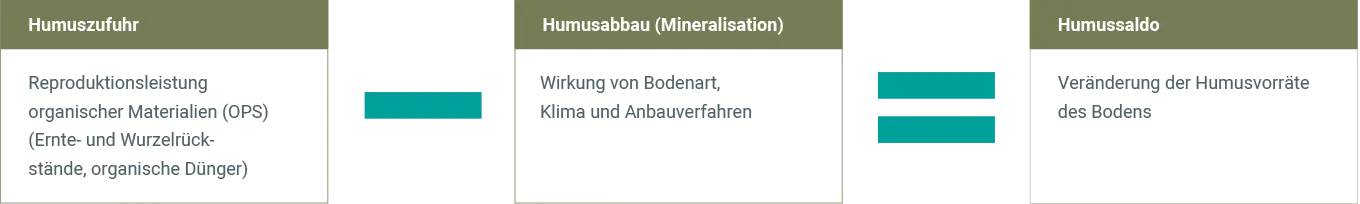 Humuszufuhr und Humusabbau