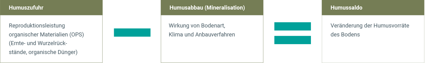 Humuszufuhr und Humusabbau