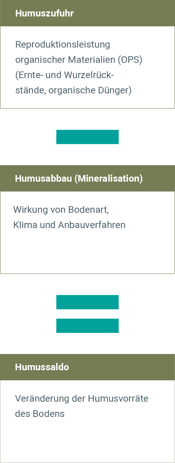 Humuszufuhr und Humusabbau