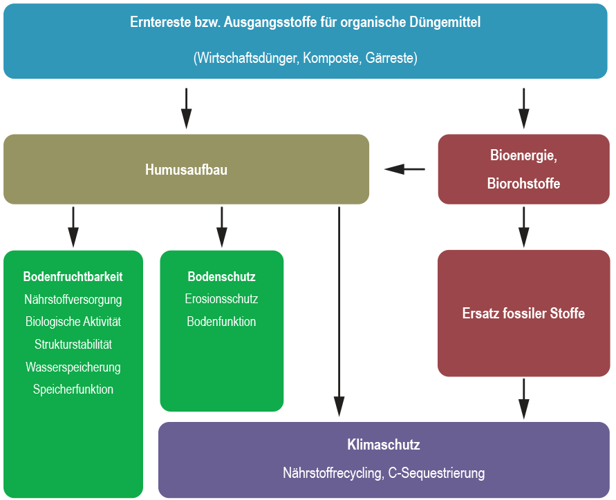 Humusgehalt bei unterschiedlicher Landnutzung